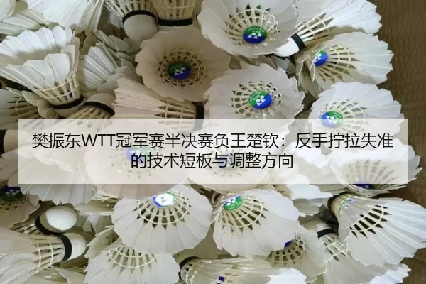 fan-zhen-dong-guan-jun-sai-ban-jue-sai-fu-wang-chu-qin-fan-shou-ning-la-shi-zhun-de-ji-shu-duan-ban-yu-tiao-zheng-fang-2-553.jpg